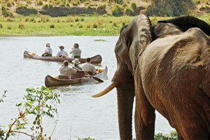 zambia