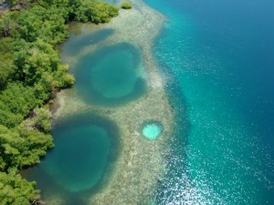 Boca del toro en Panama