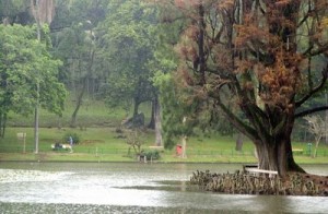 Parque de Sao Paulo