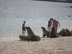 Islas Galapagos en Ecuador