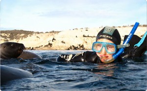 Buceo en Puerto Madryn