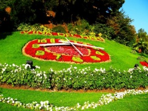 el reloj de flores